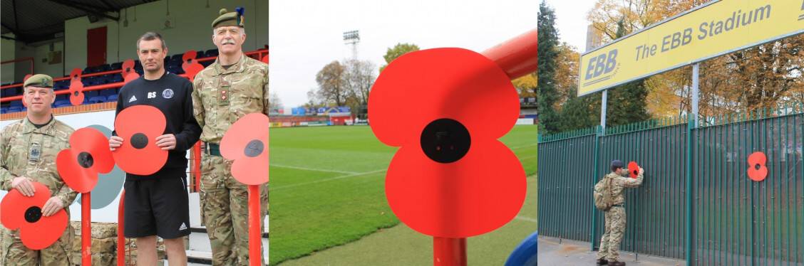 Poppy Appeal montage