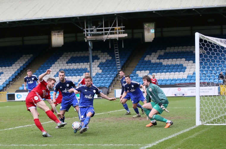 halifax v atfc web 3